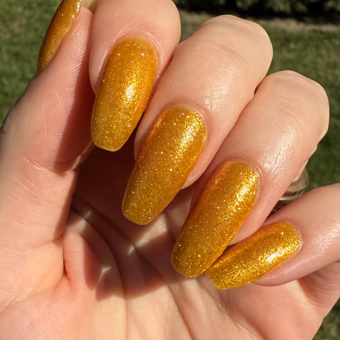 Citrine Cuisine (SB)