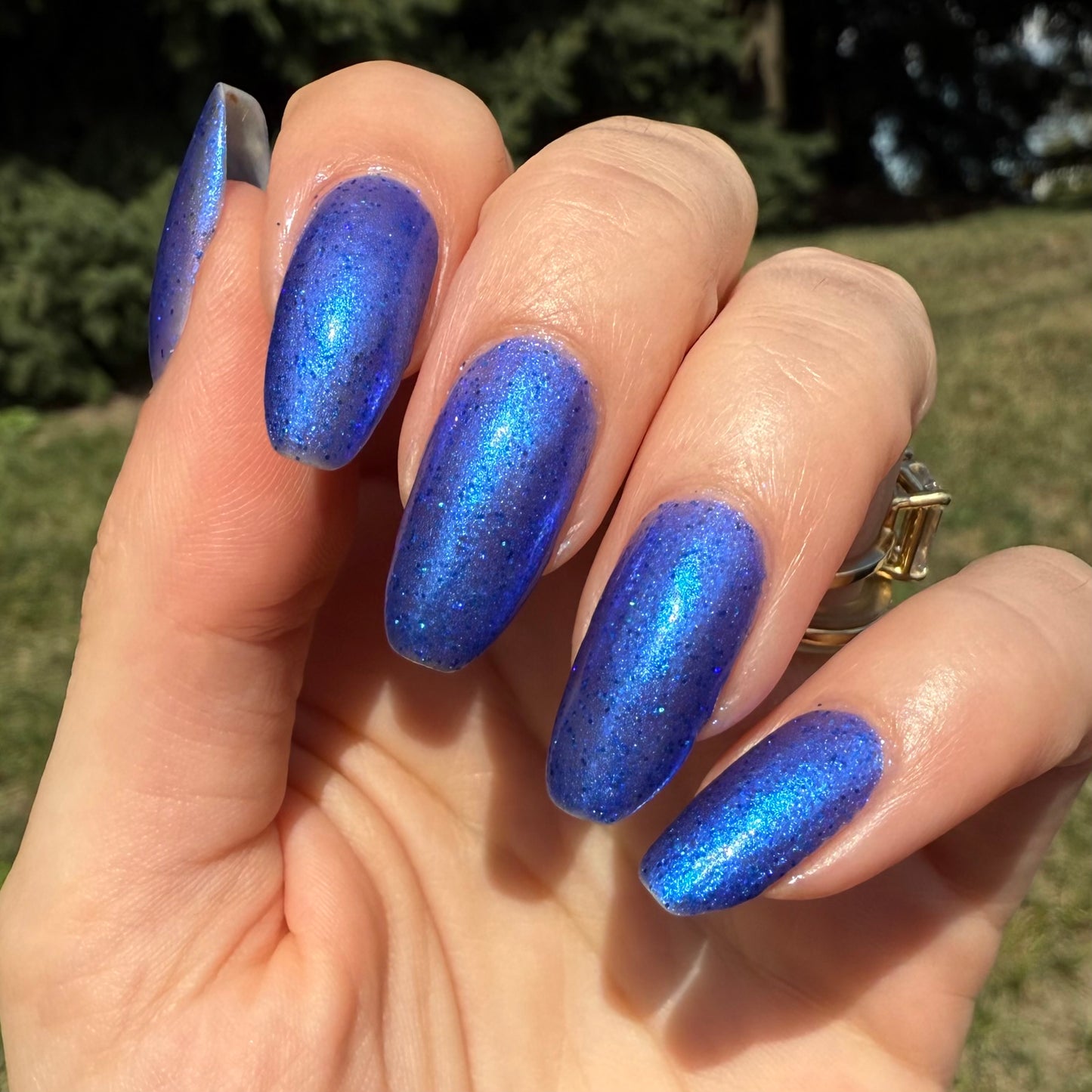 Savory Sapphire (SB)