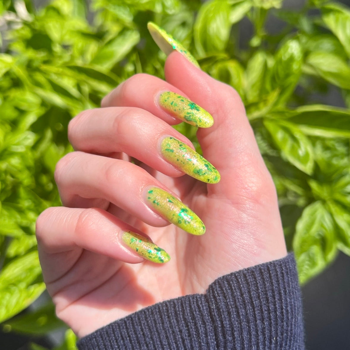 Let It Ripen! (LE)