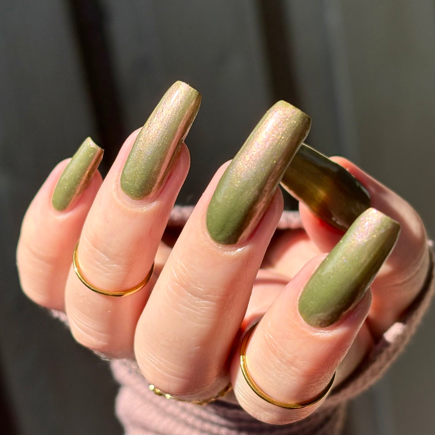 Harvest Hues Collection Bundle