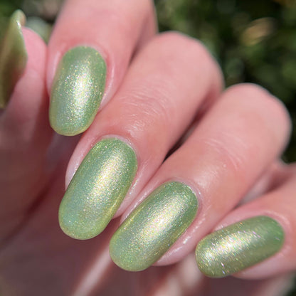Kiwi...but make it Spring