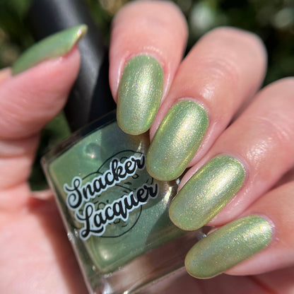 Kiwi...but make it Spring